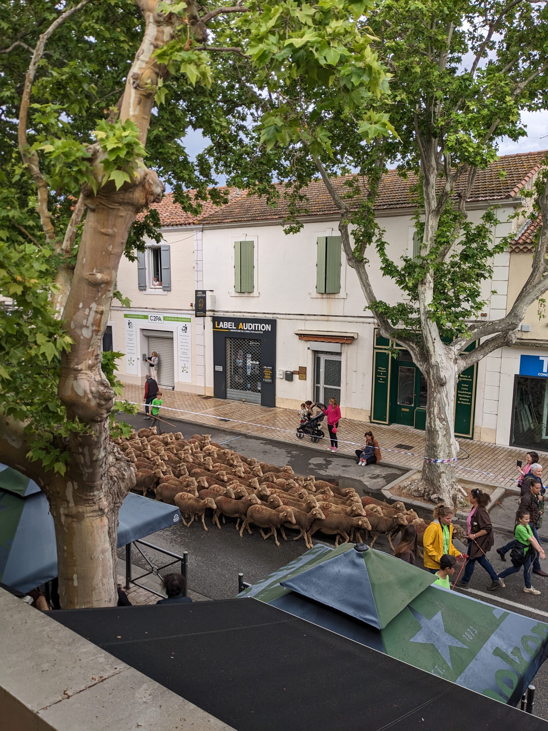 Früh­lings­fest in Saint Mar­tin de Crau